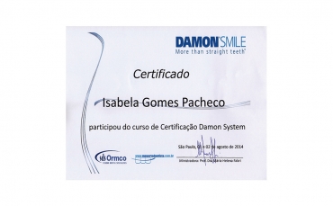2014 - Damon System